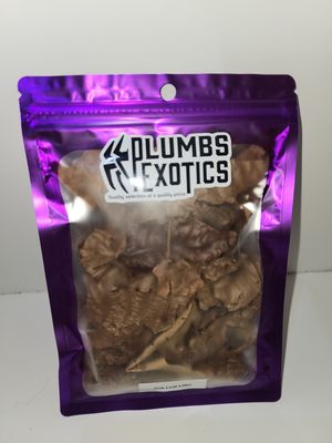 Organic Dried Leaf litter