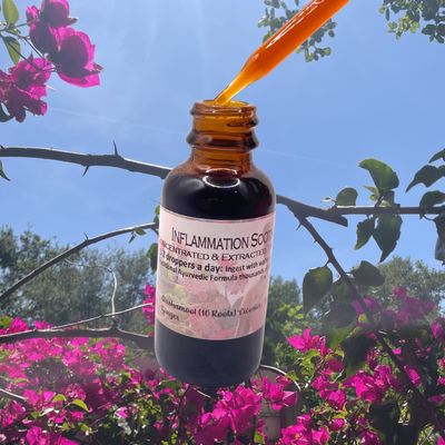 Anti-Inflammation Formula | Organic Herbal Tincture | Dashamool (10 herbs)
