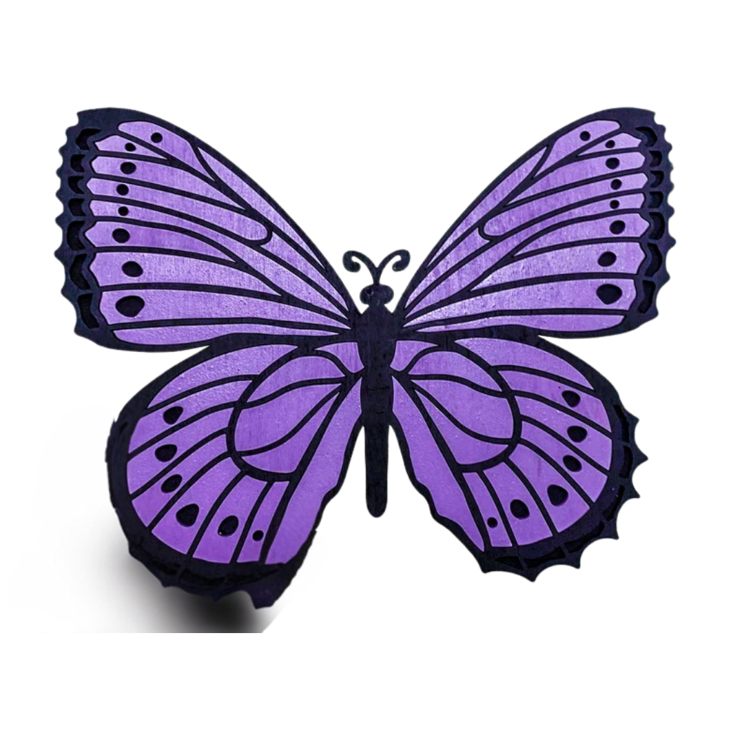 DIY Butterfly Paint Kit