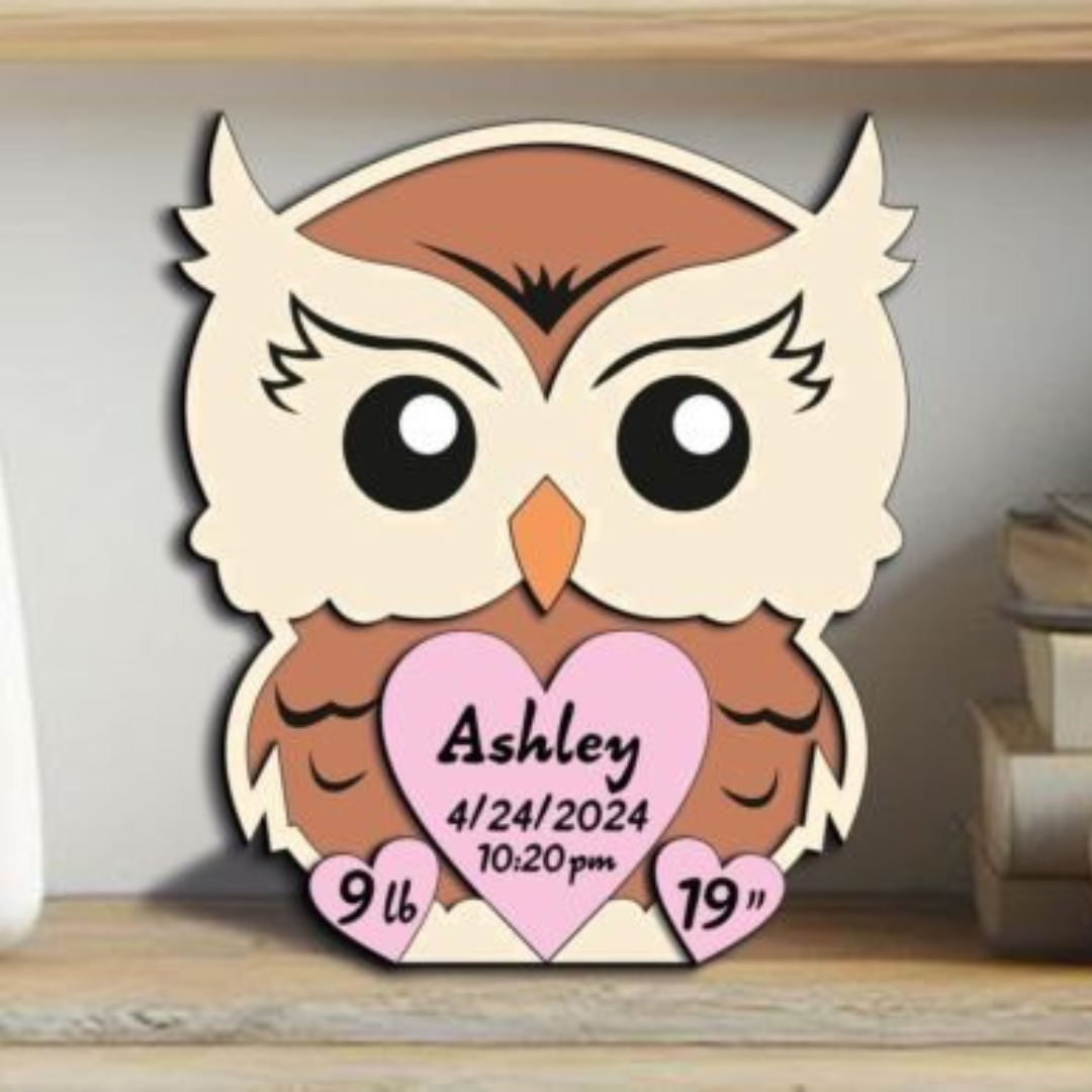 Personalized Owl Baby Birth Stats Sign