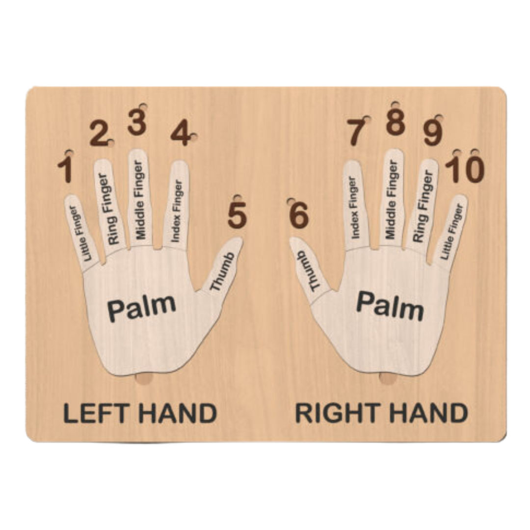 Wooden Hand Puzzle Board for Kids - Montessori Learning Toy with Numbered Fingers - Educational Left &amp; Right Hands Counting Tool