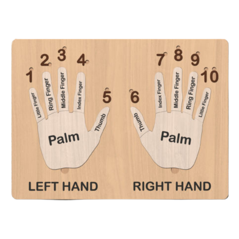 Wooden Hand Puzzle Board for Kids - Montessori Learning Toy with Numbered Fingers - Educational Left &amp; Right Hands Counting Tool