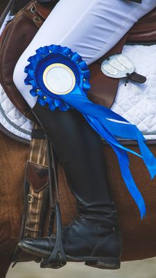 Equestrian Sports