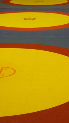 Wrestling