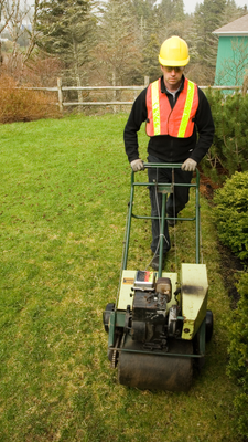 Landscaping and Grounds Maintenance