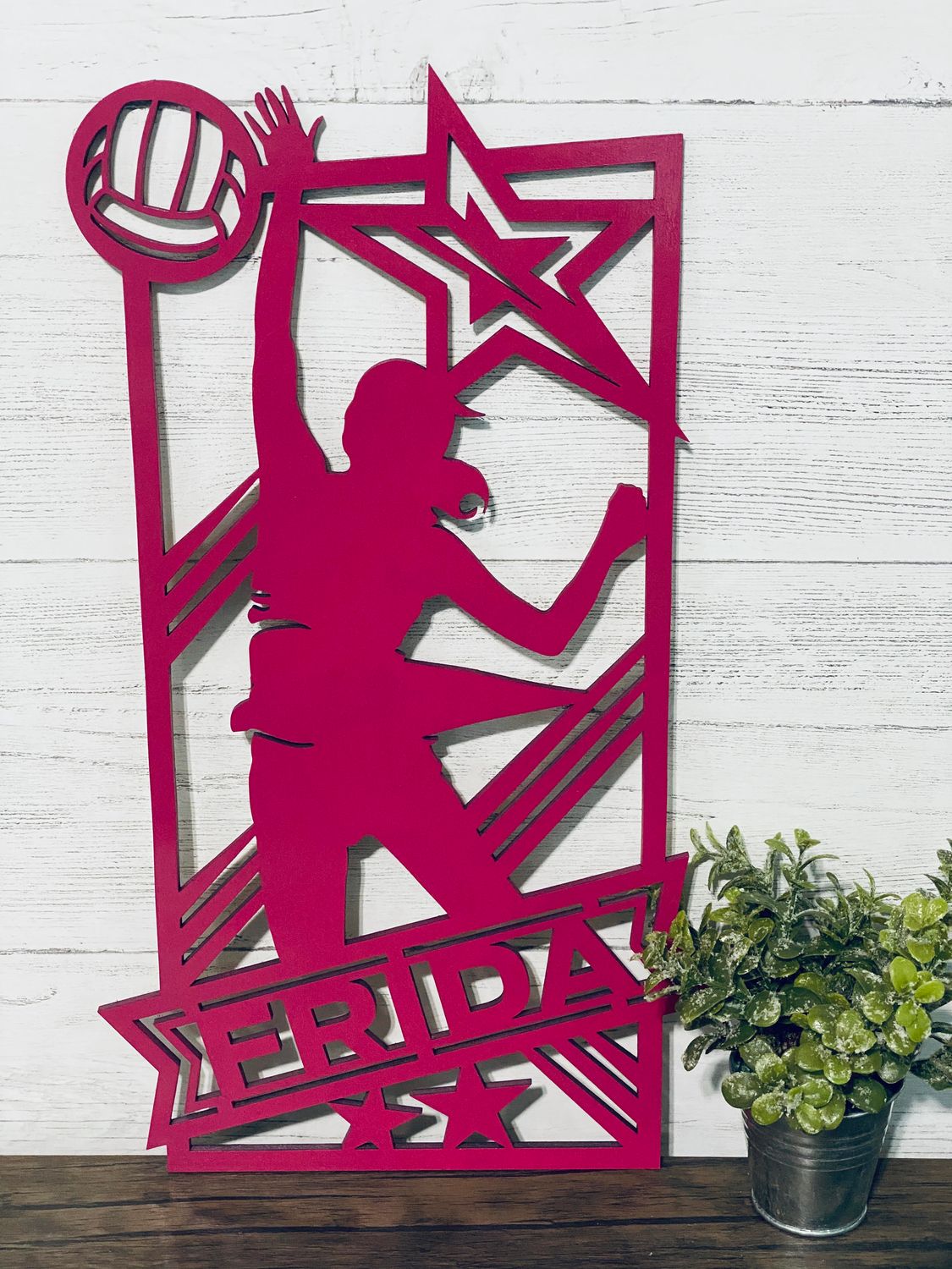 Volleyball  Single-Layer Sign