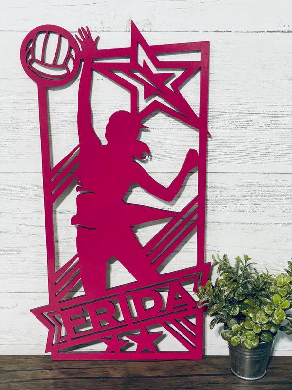 Volleyball  Single-Layer Sign