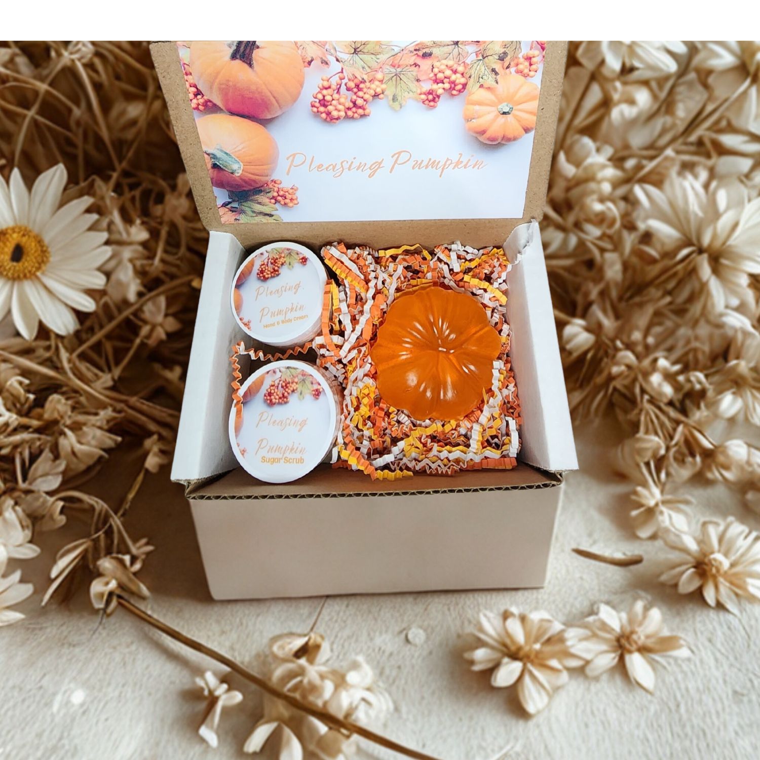 Mini Pumpkin Collection - Pleasing Pumpkin