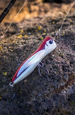 JSL Tormenta 150mm Topwater Popper – PE3 (Phase One Clearance)