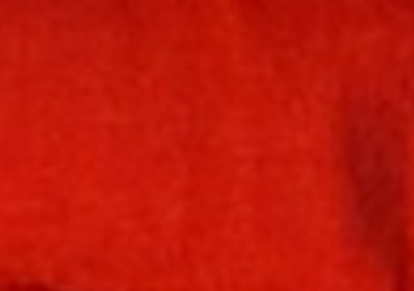 Locorum Logo T-Shirt - Red (NCSU)