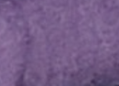 Locorum Logo T-Shirt - Purple (ECU)