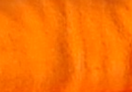 Locorum Logo T-Shirt - Orange (Clemson)
