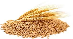 Food Products
