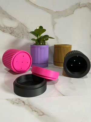 Indoor Planter &amp; Drip Tray Daphnee Planter