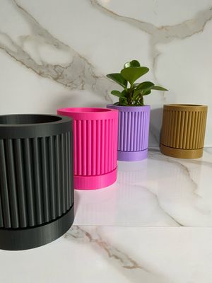 Indoor Planter &amp; Drip Tray Daphnee Planter