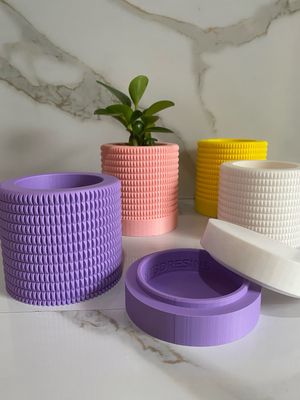 Indoor Planter &amp; Drip Tray Anemone Planter