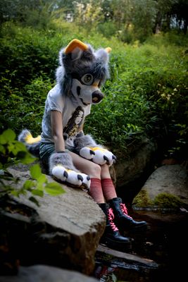 Gray Puppy Partial