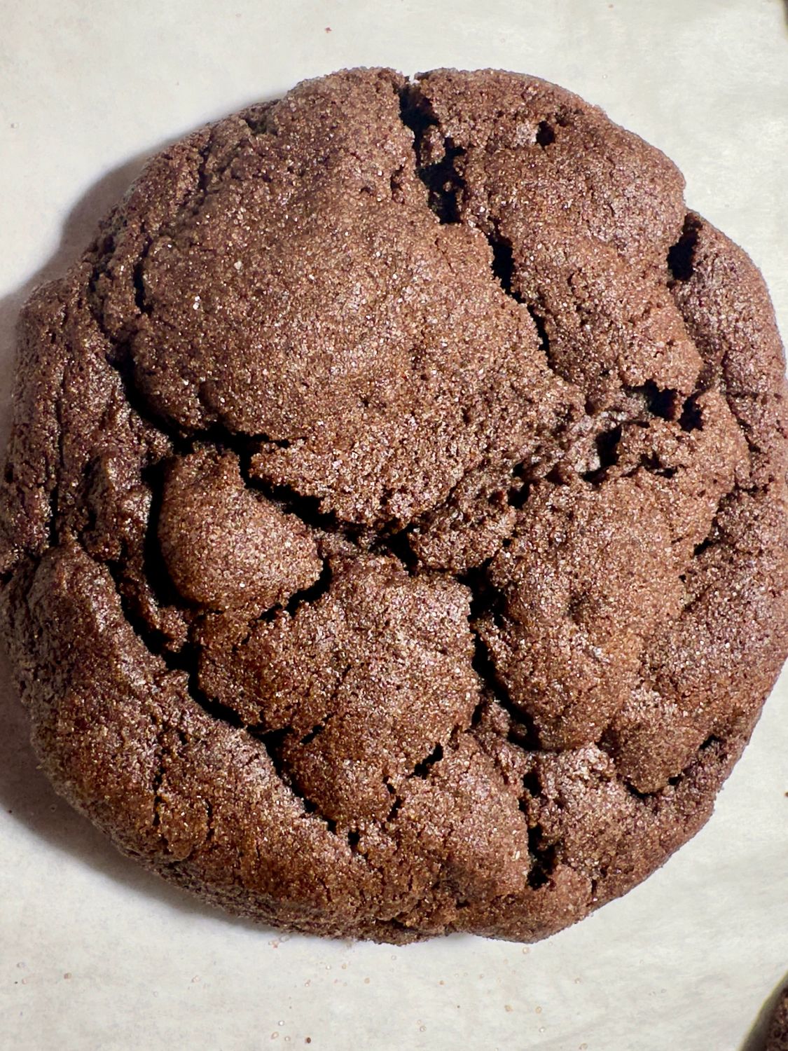 Chocolate Brownie