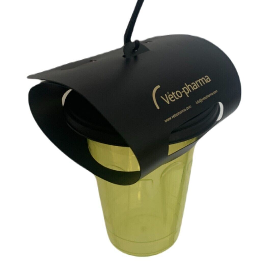 Asian Hornet Trap *** COLLECTION ONLY***