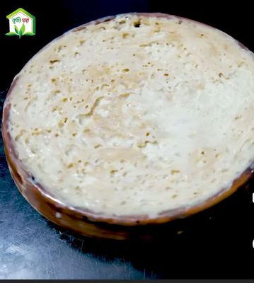 বগুড়ার সরা দই ( Best doi from bogura in krishi Ghor BD )