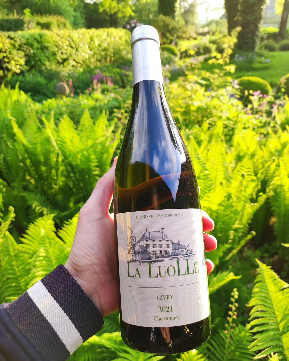 Givry Blanc, Les Plants Sont Fleuris 2021, Domaine de la Luolle