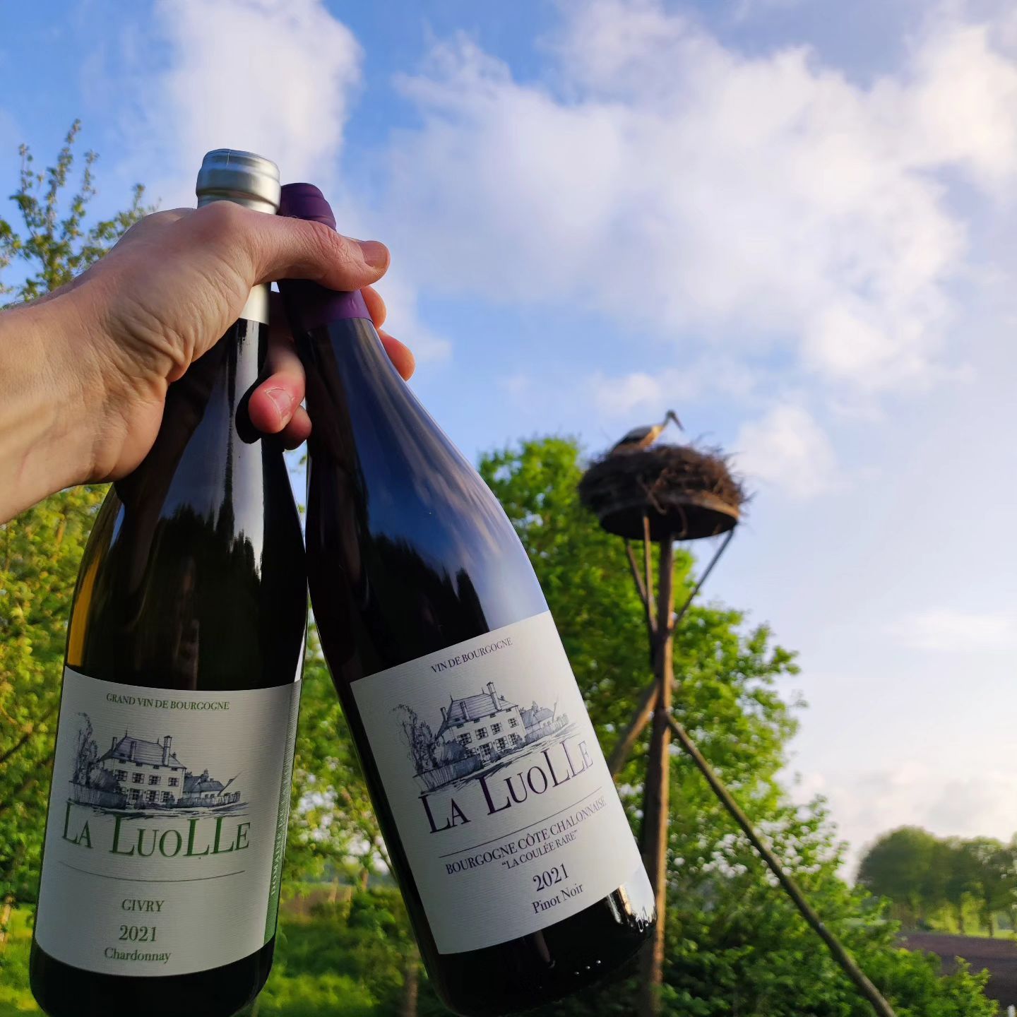 Givry Blanc, Les Plants Sont Fleuris 2021, Domaine de la Luolle