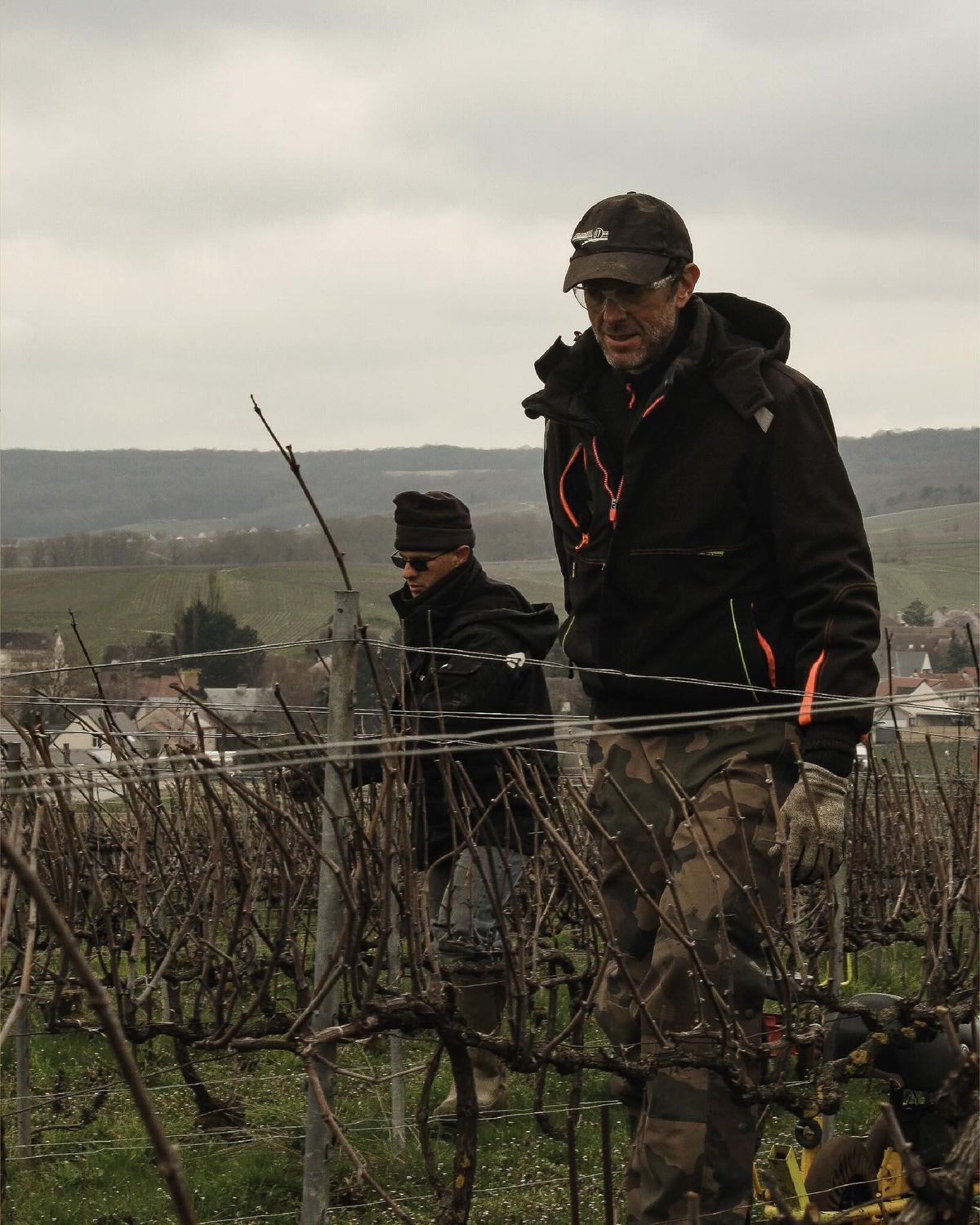 Champagne 1er Cru, Gounel Lassalle, Les Agneaux