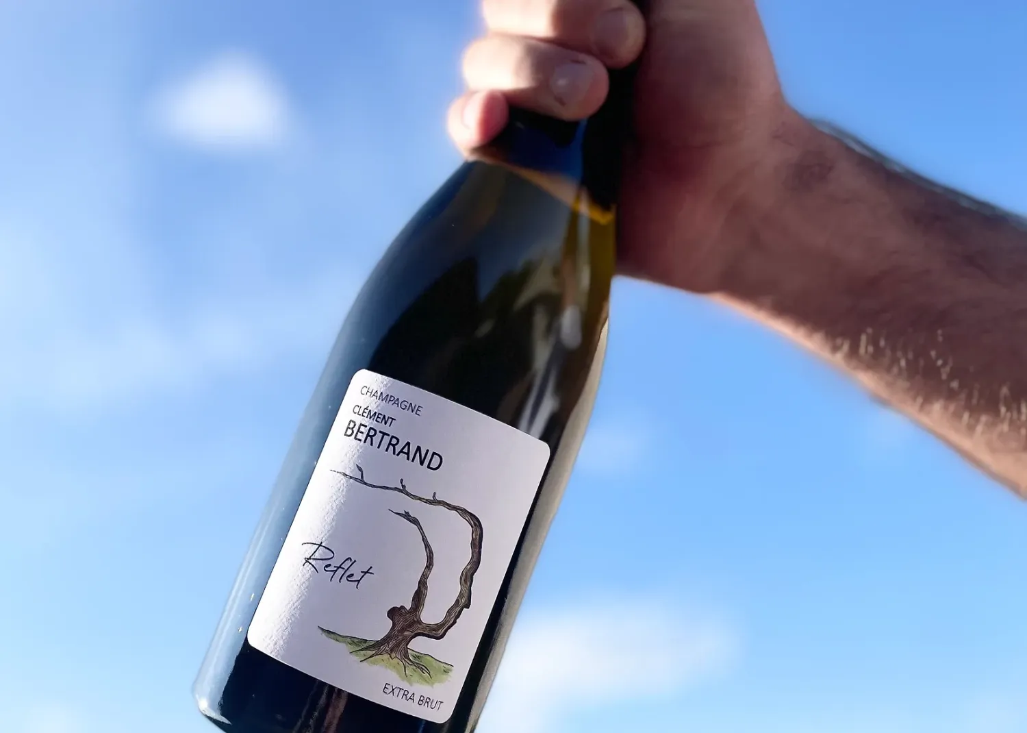 Champagne Cuvée Reflet, Clemens Bertrand