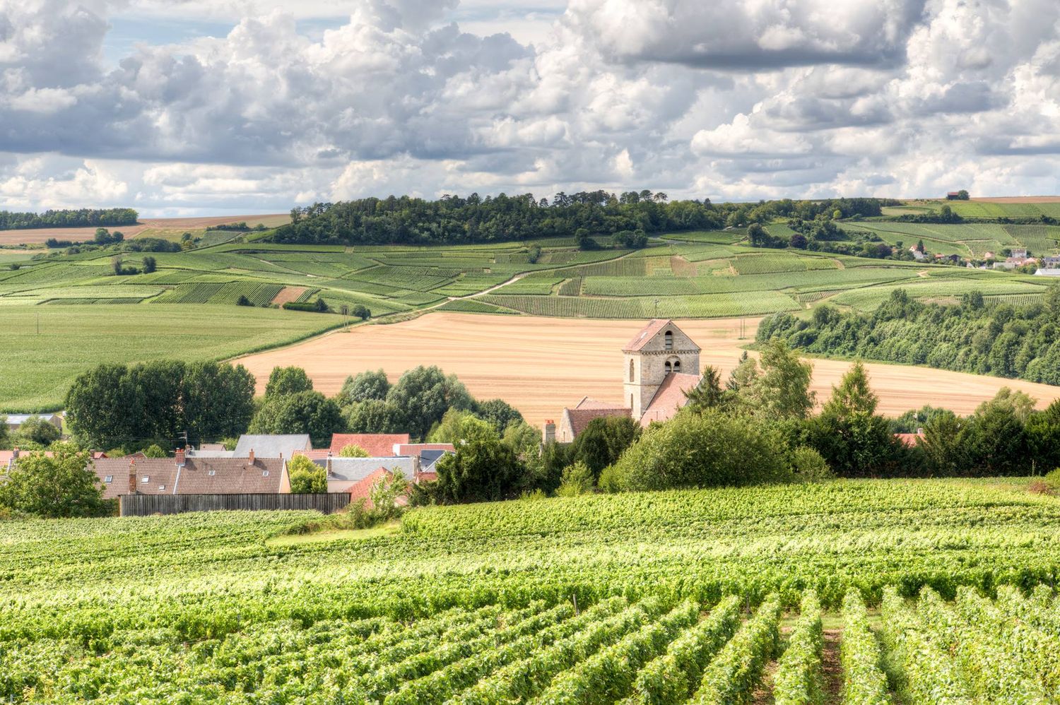 Champagne Pierre Malingre Tradition