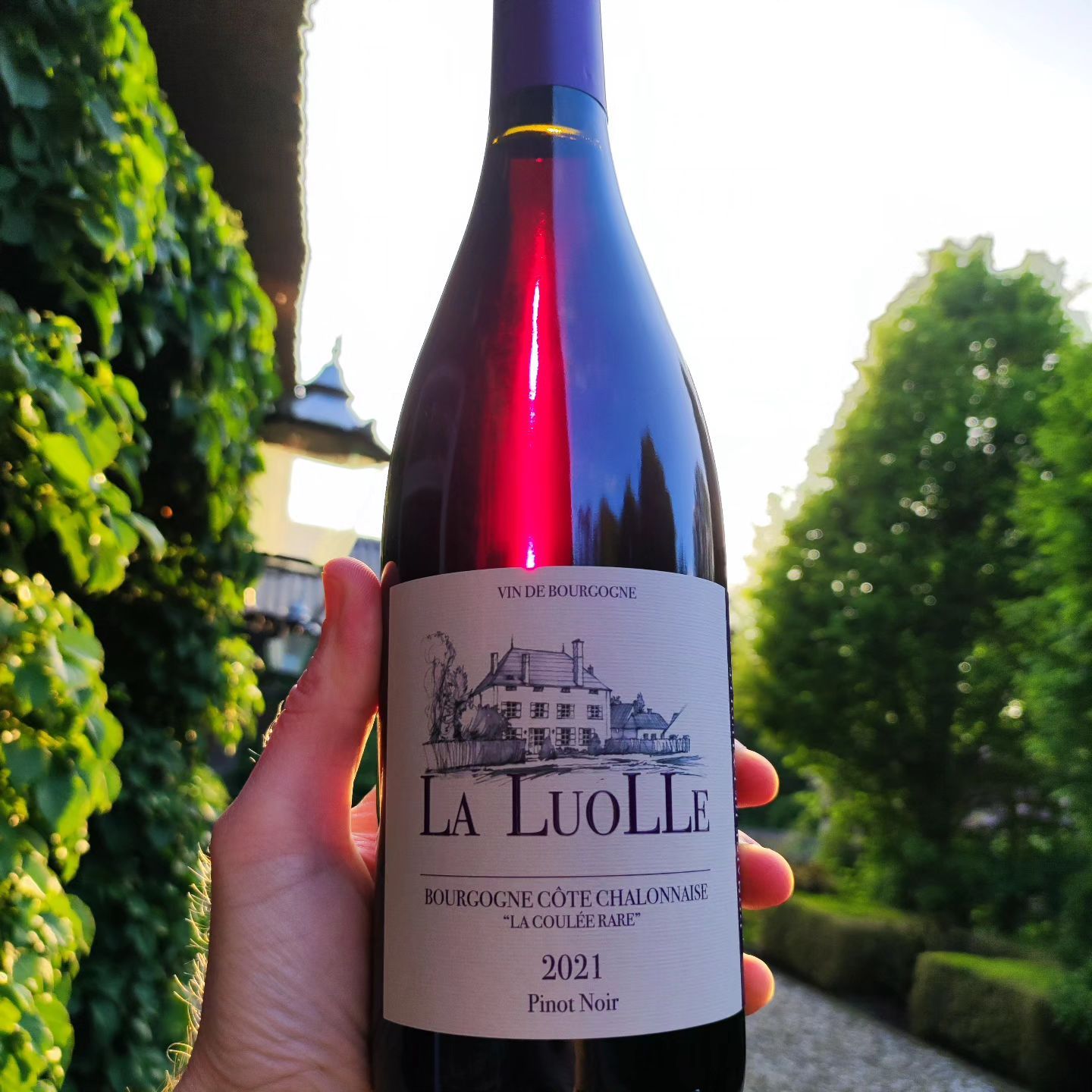 Bourgogne Rouge, La Coulée Rare 2021, Domaine de la Luolle