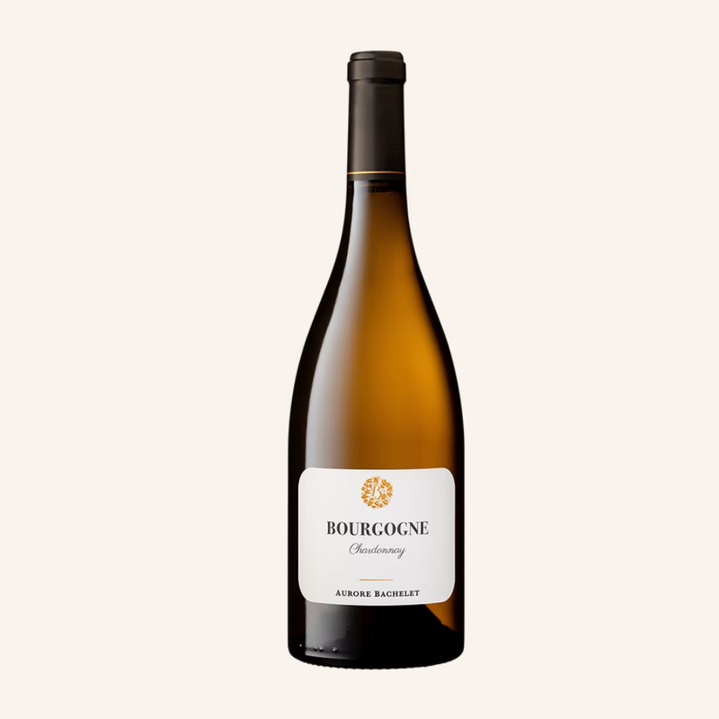Bourgogne Blanc 2022, Aurore Bachelet