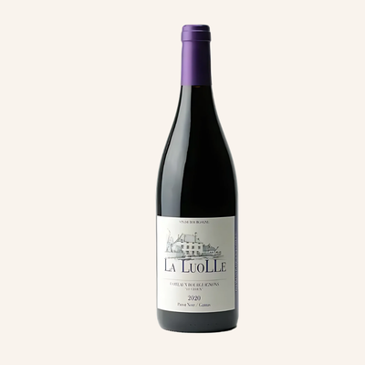 Coteaux Bourguignons Rouge, Le Cloux de la Roche 2020, La Luolle