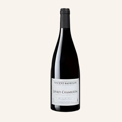 Chassagne-Montrachet Rouge, Les Benoites 2022, Vincent Bachelet