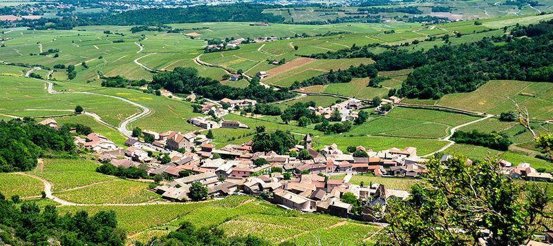 Mâconnais