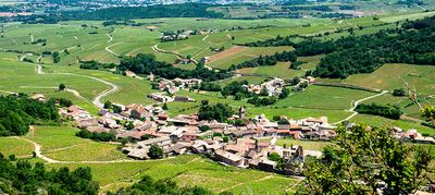 Mâconnais