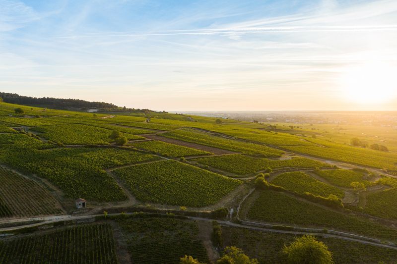 Beaujolais