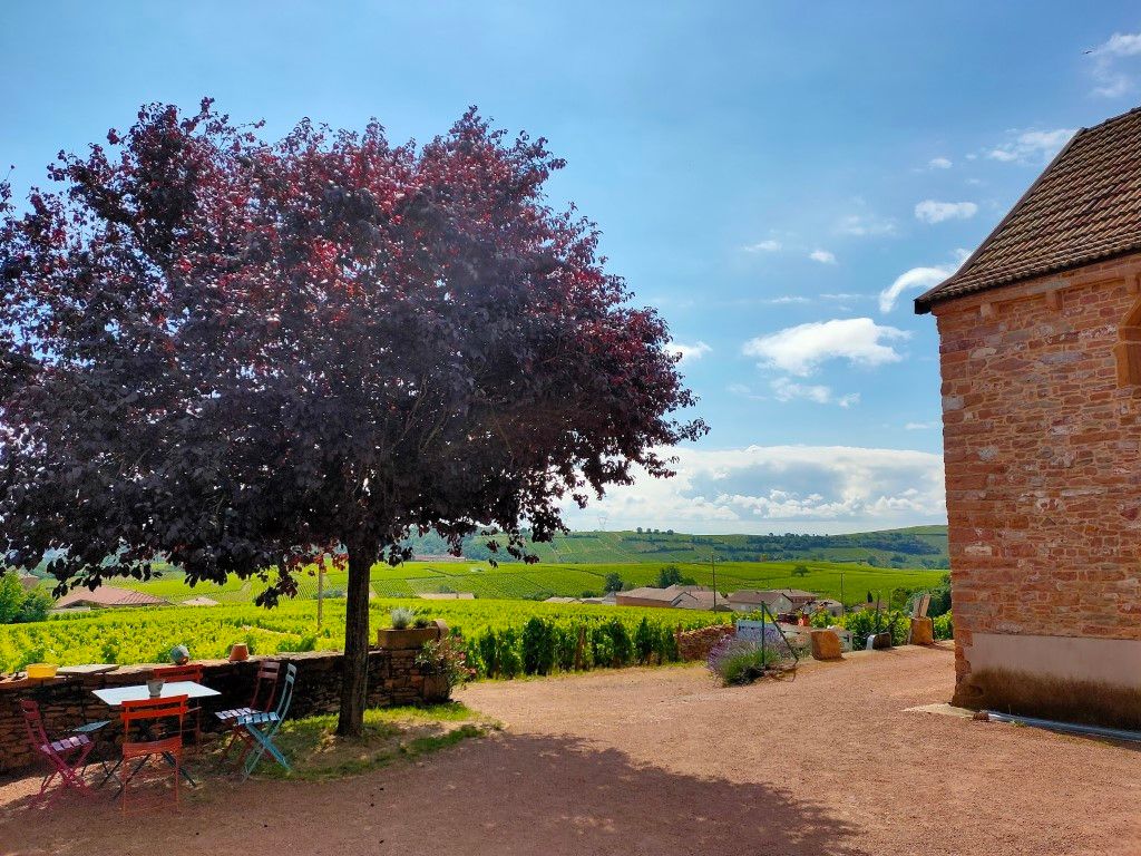 Crémant de Bourgogne 2023, Domaine De La Chapelle