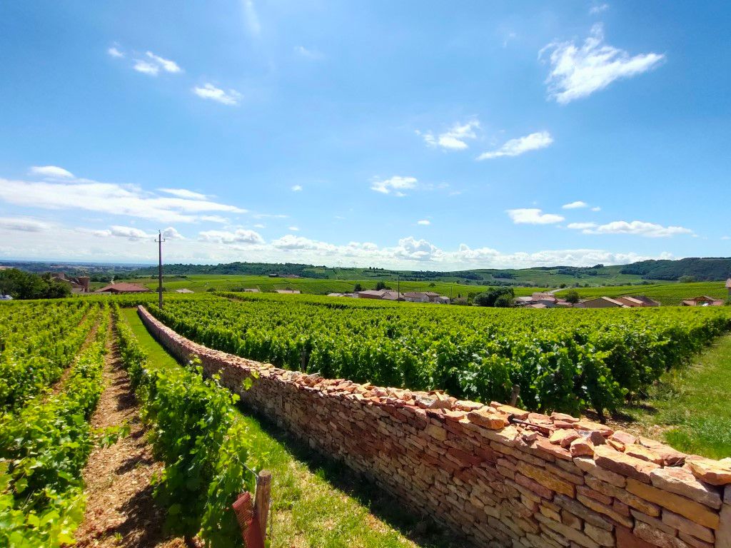 Crémant de Bourgogne 2023, Domaine De La Chapelle