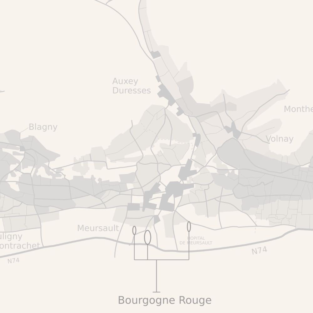 Bourgogne Pinot Noir 2022, Domaine Buisson Battault