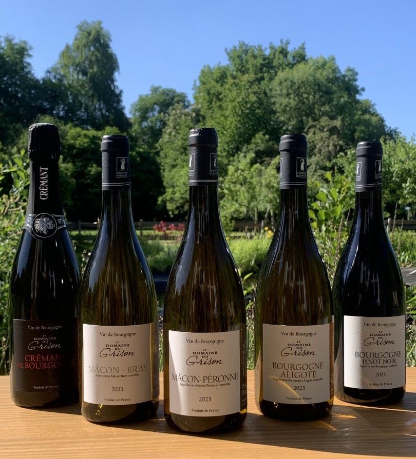 2023 Bourgogne Aligoté, Domaine du Grison