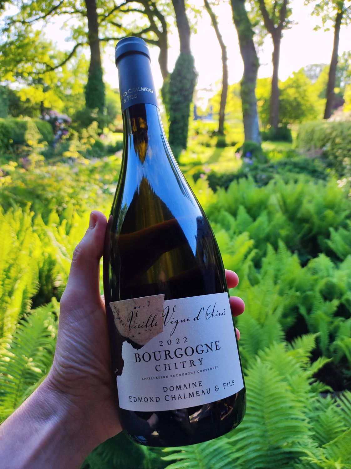 Bourgogne Chitry, Vieilles Vignes D'aimé Blanc 2022, E. Chalmeau