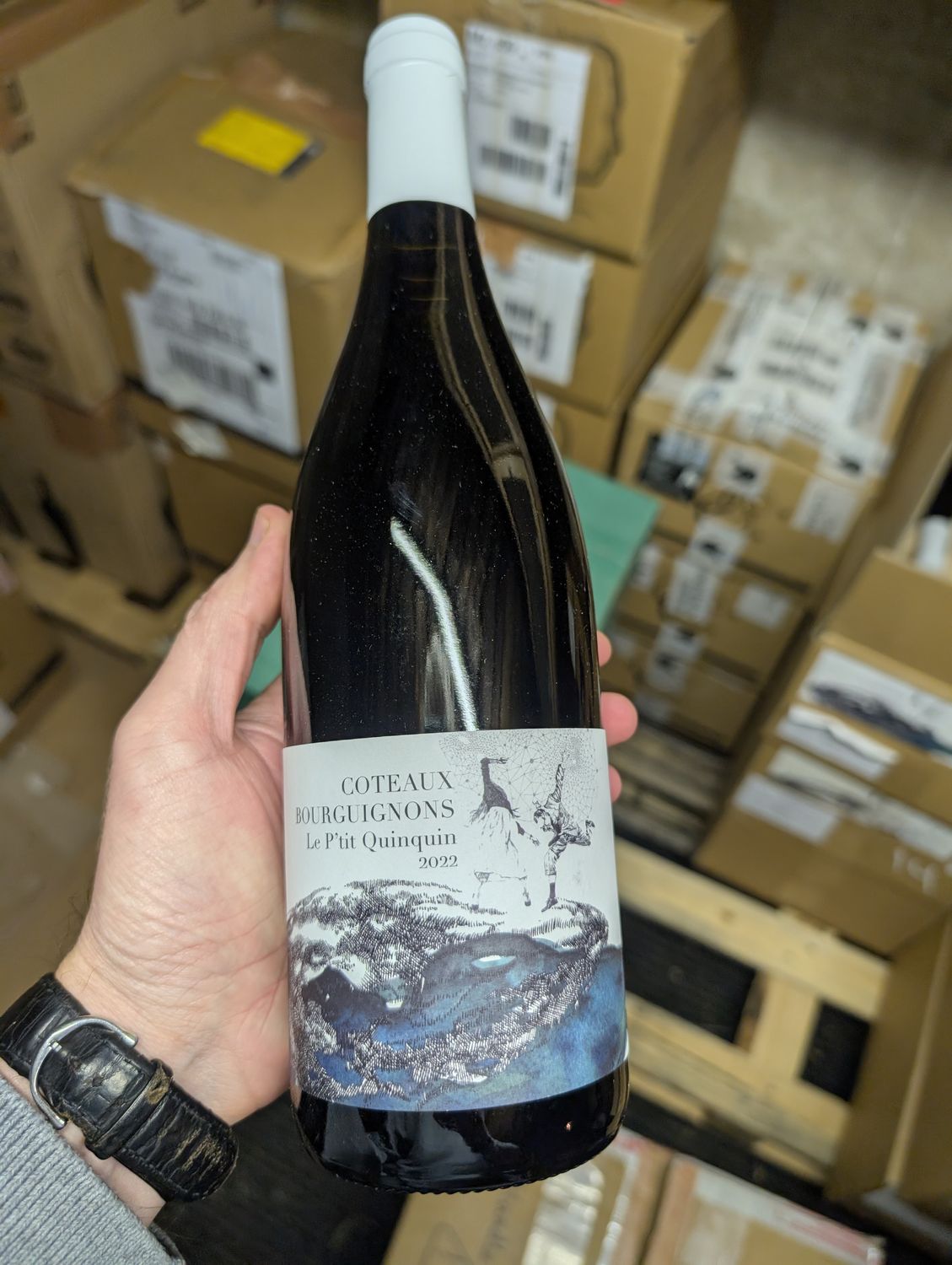 Coteaux Bourguignons Gamay 2022, Domaine Didon