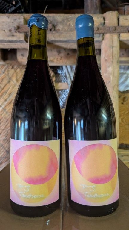 Maude Rochette PS-Tendresse N.V.