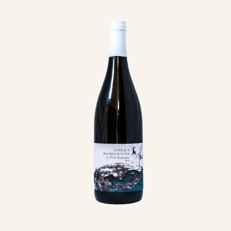 Coteaux Bourguignons Gamay 2022, Domaine Didon