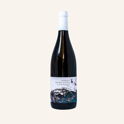 Coteaux Bourguignons Gamay 2022, Domaine Didon