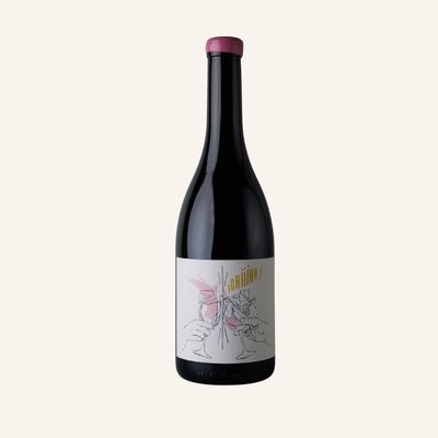 A La Votre Gamay 2021, Vin Noé