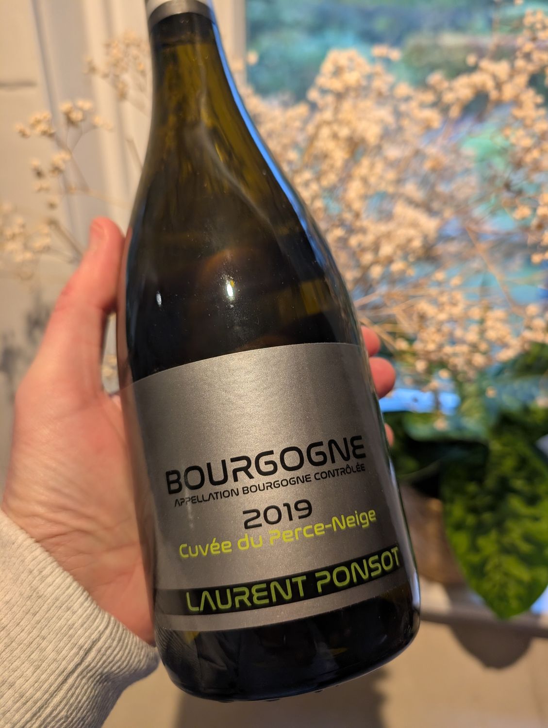 Bourgogne Cuvee du Perce-Neige 2019, Laurent Ponsot