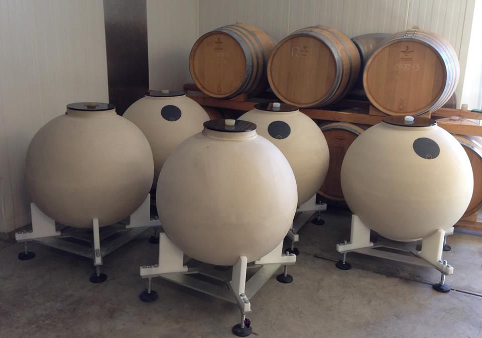 Côte de Nuits Village, Chardonnay 2024, Domaine Valeria Naudin