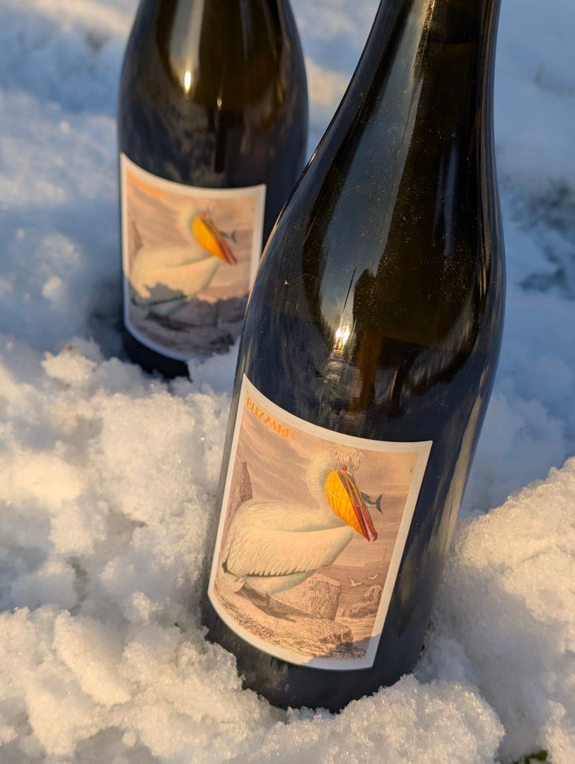 Hors Les Murs Blizzard 2022, Vin de France, Château Lestignac