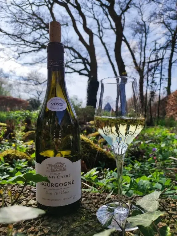 Bourgogne Blanc, Sous La Velle 2023, Domaine Denis Carré
